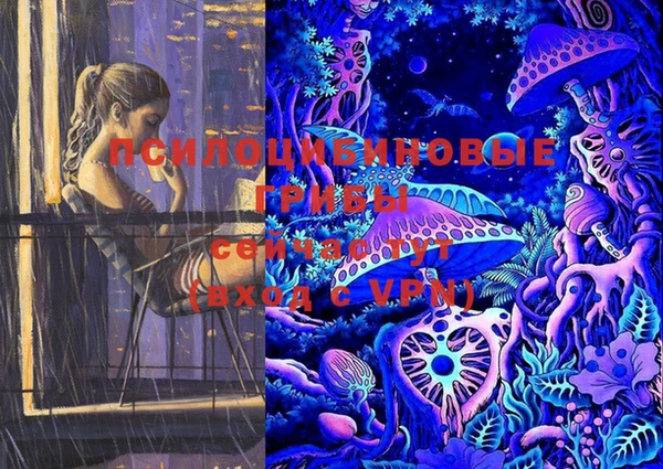 стафф Богородицк